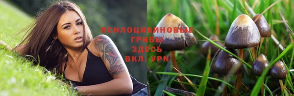 мяу мяу мука Волоколамск